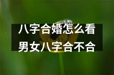 <h3>八字合婚怎么看男女八字合不合