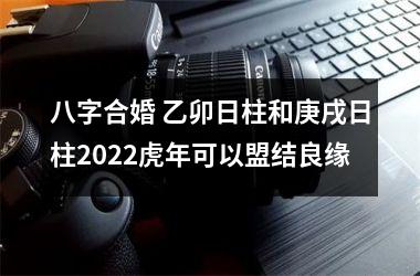 八字合婚 乙卯日柱和庚戌日柱2025虎年可以盟结良缘
