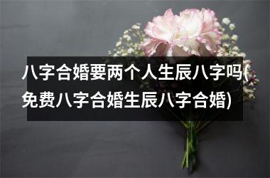 <h3>八字合婚要两个人生辰八字吗(免费八字合婚生辰八字合婚)