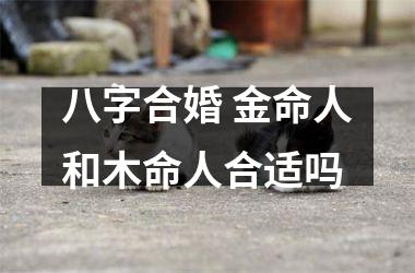<h3>八字合婚 金命人和木命人合适吗