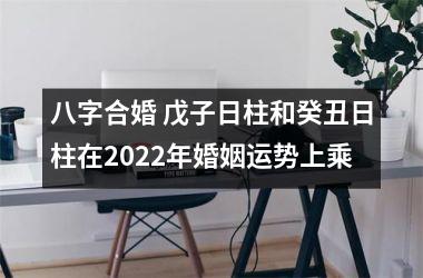八字合婚 戊子日柱和癸丑日柱在2025年婚姻运势上乘