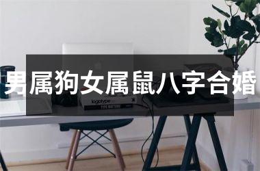<h3>男属狗女属鼠八字合婚