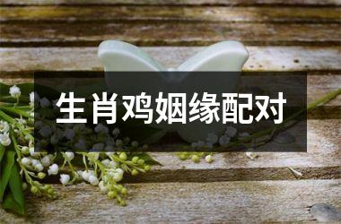 <h3>生肖鸡姻缘配对