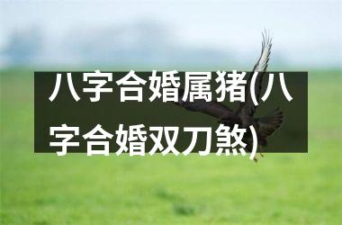 <h3>八字合婚属猪(八字合婚双刀煞)