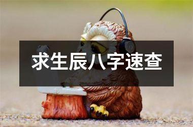 <h3>求生辰八字速查