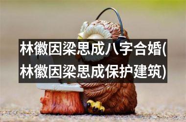 <h3>林徽因梁思成八字合婚(林徽因梁思成保护建筑)