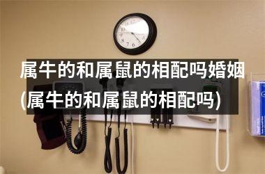 <h3>属牛的和属鼠的相配吗婚姻(属牛的和属鼠的相配吗)