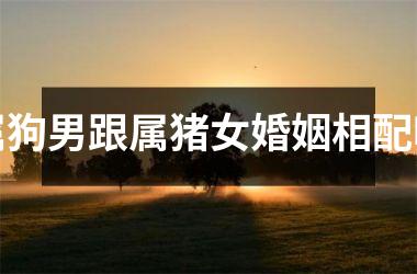 <h3>属狗男跟属猪女婚姻相配吗