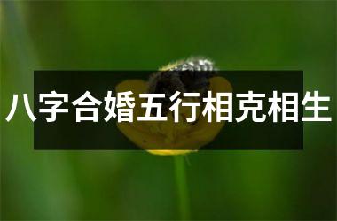 <h3>八字合婚五行相克相生
