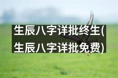 <h3>生辰八字详批终生(生辰八字详批免费)
