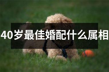 40岁佳婚配什么属相