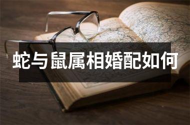 <h3>蛇与鼠属相婚配如何