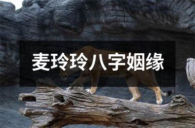 麦玲玲八字姻缘