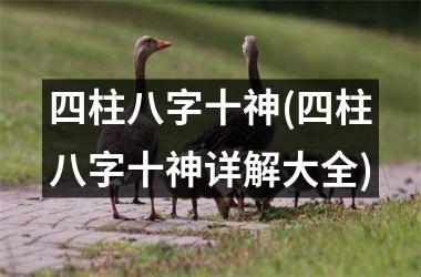 四柱八字十神(四柱八字十神详解大全)