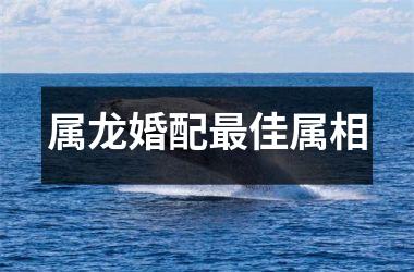 <h3>属龙婚配佳属相
