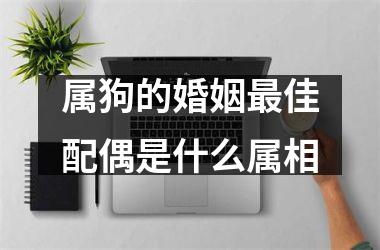 属狗的婚姻佳配偶是什么属相