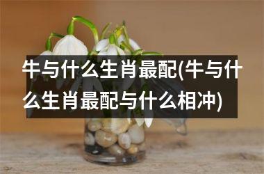 <h3>牛与什么生肖配(牛与什么生肖配与什么相冲)