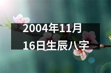 <h3>2004年11月16日生辰八字