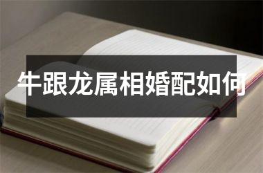牛跟龙属相婚配如何
