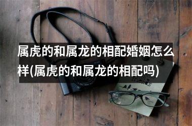 <h3>属虎的和属龙的相配婚姻怎么样(属虎的和属龙的相配吗)