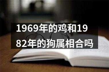 <h3>1969年的鸡和1982年的狗属相合吗