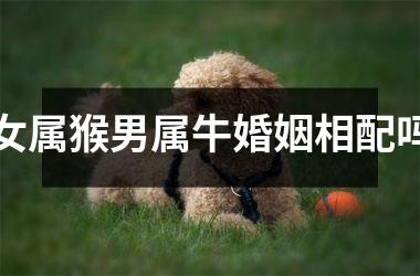<h3>女属猴男属牛婚姻相配吗