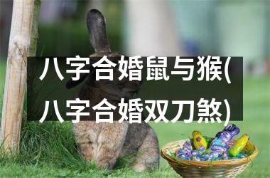 <h3>八字合婚鼠与猴(八字合婚双刀煞)
