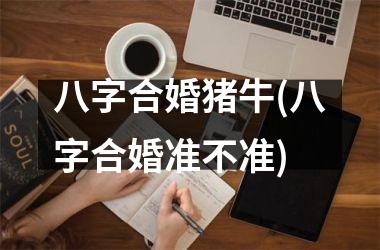 <h3>八字合婚猪牛(八字合婚准不准)