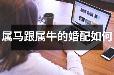 <h3>属马跟属牛的婚配如何