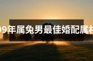 99年属兔男佳婚配属相