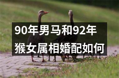 90年男马和92年猴女属相婚配如何
