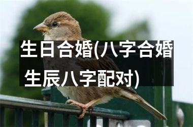<h3>生日合婚(八字合婚 生辰八字配对)