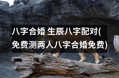 八字合婚 生辰八字配对(免费测两人八字合婚免费)