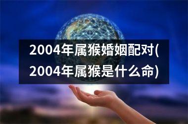 <h3>2004年属猴婚姻配对(2004年属猴是什么命)