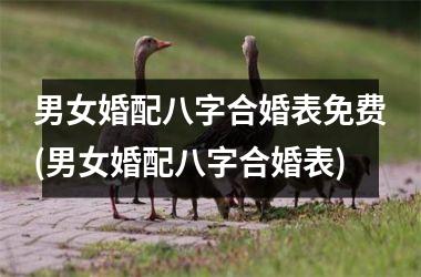 <h3>男女婚配八字合婚表免费(男女婚配八字合婚表)