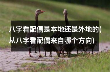 <h3>八字看配偶是本地还是外地的(从八字看配偶来自哪个方向)