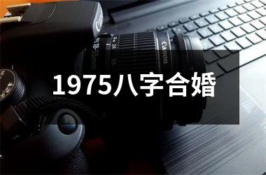 <h3>1975八字合婚