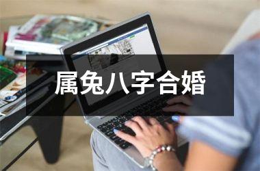 <h3>属兔八字合婚