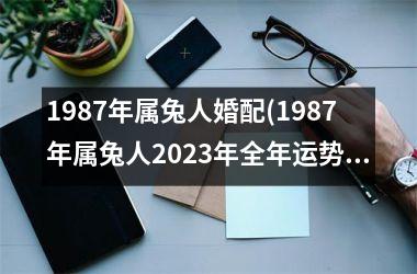 <h3>1987年属兔人婚配(1987年属兔人2025年全年运势)