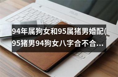 94年属狗女和95属猪男婚配(95猪男94狗女八字合不合)