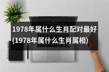 <h3>1978年属什么生肖配对最好(1978年属什么生肖属相)