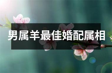 男属羊最佳婚配属相