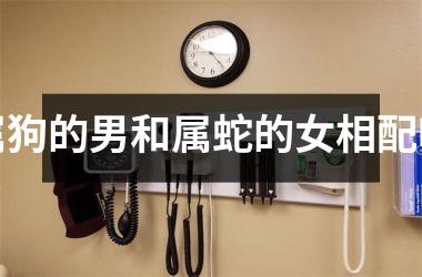 <h3>属狗的男和属蛇的女相配吗