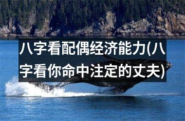 <h3>八字看配偶经济能力(八字看你命中注定的丈夫)