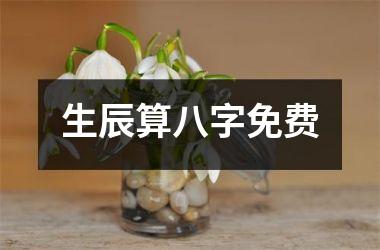 生辰算八字免费
