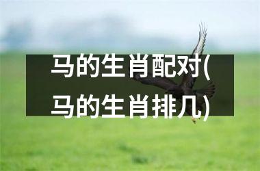 <h3>马的生肖配对(马的生肖排几)