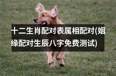 十二生肖配对表属相配对(姻缘配对生辰八字免费测试)