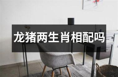 <h3>龙猪两生肖相配吗