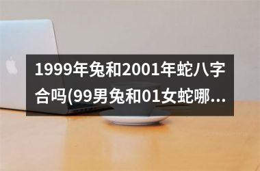 <h3>1999年兔和2001年蛇八字合吗(99男兔和01女蛇哪年结婚最好)
