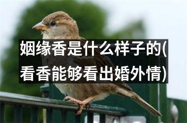 姻缘香是什么样子的(看香能够看出婚外情)